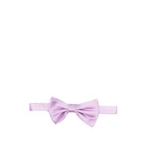 Lady Anne Purple Ties & Bow Ties Men